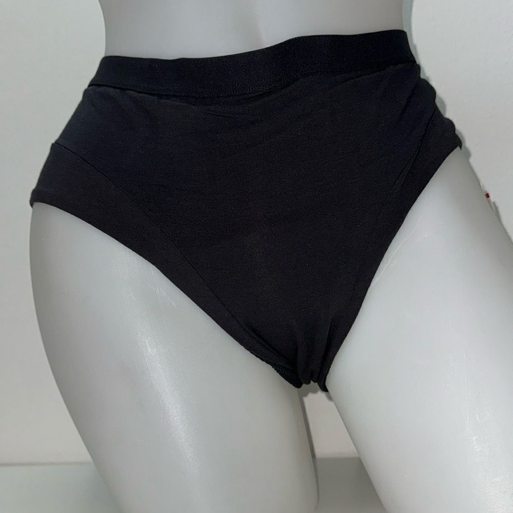 🔥Thinx French Moderate Period Menstrual Underwear Panties Sz XL brief thinx